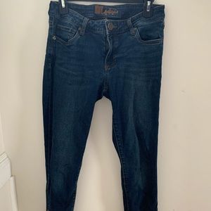 KUT from the Kloth Ankle Zip Skinny Jeans Dark